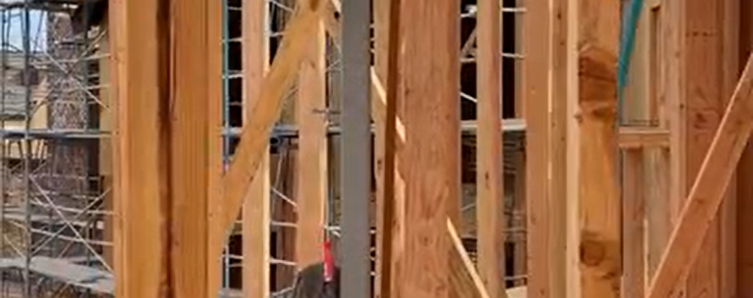 Construction project underway - common questions after the 2025 fires - Dean Larkin Design