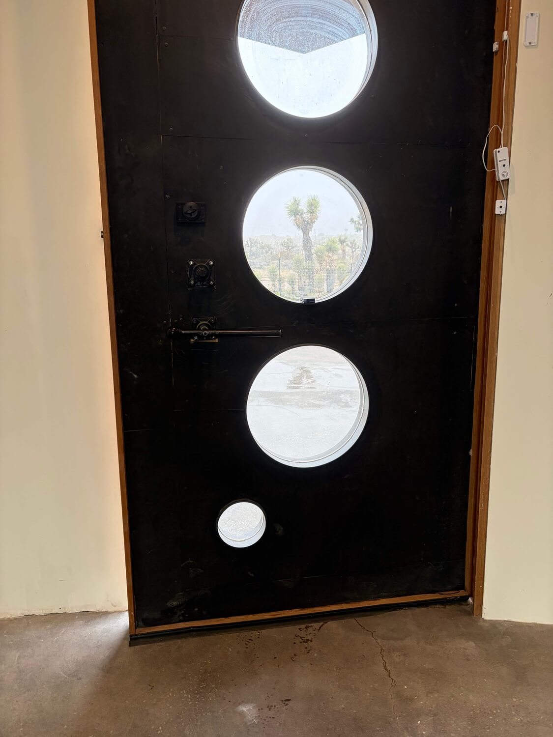 door with circular windows representing the yukka moth eggs, perfectly framing the Joshua tree outside - Dean Larkin Design