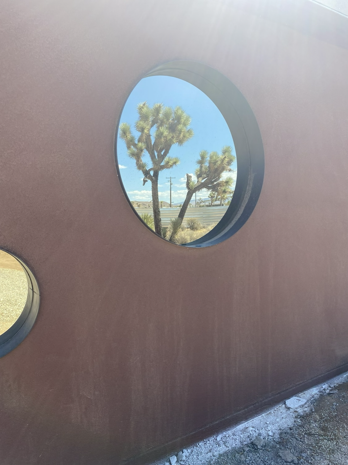 circular windows perfectly framing the Joshua tree outside - Dean Larkin Design