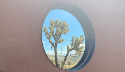 view through a circular window of the Joshua Tree - Faith Project - Dean Larkin Design
