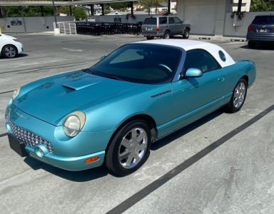 Dean Larkin TBird, whose color inspired the color for teh Farmer's Daugher Remodel | Dean Larkin Design